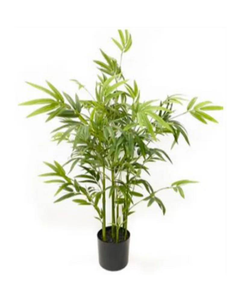 Bamboo Mini plant, 33 inch / 84 cm, in a pot