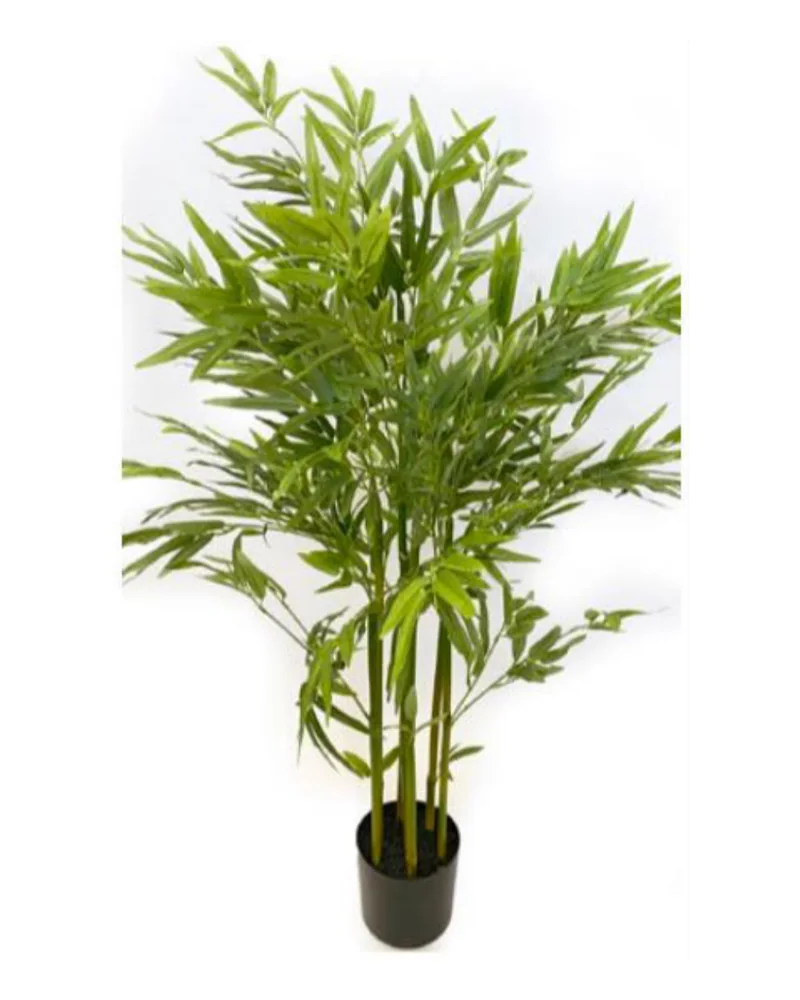 Bamboo Mini plant, 41 inch / 104 cm, in a pot