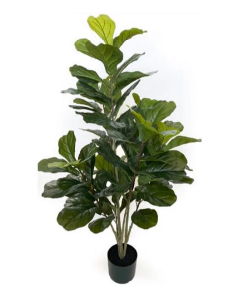 Fiddle Leaf Tree plant, 48 inch / 122 cm, in a pot
