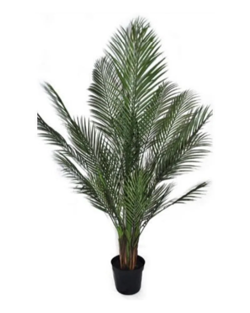 Areca Palm plant, 54 inch / 137 cm, in a pot