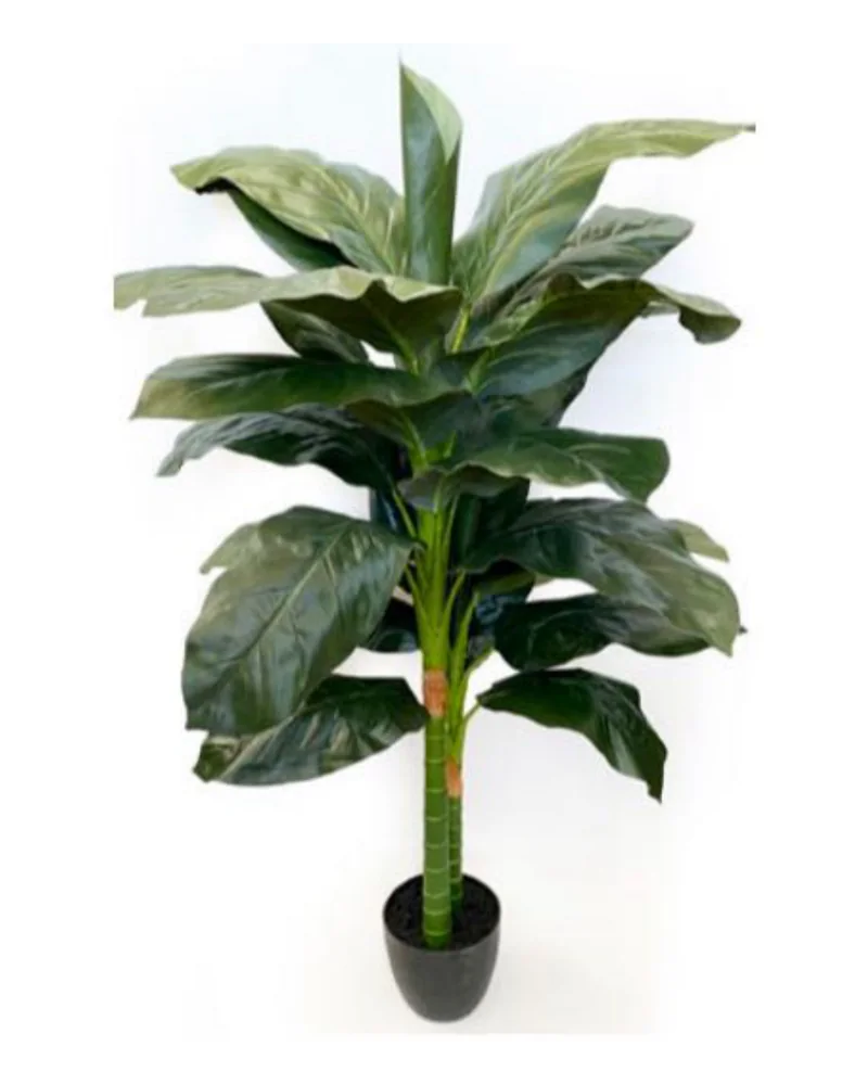 Tropical Evergreen Plant plant, 58 inch / 148 cm, in a pot